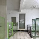 쉼터약국 | 대구 유기견 봉사 | 앵두네쉼터 봉사후기 | 동물알러지인간의 봉사일지
