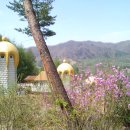 요정농장 이미지