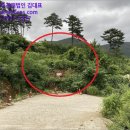 거제시일운면망치보건진료소 네이버블로그