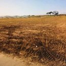 구만리농장 이미지