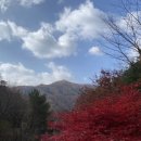 복주산자연휴양림 이미지