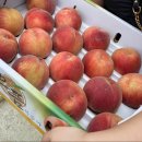 다불촌 독채민박 이미지