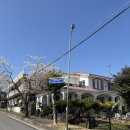 신화펜션 | 서귀포 펜션 신화하우스 솔직 방문 후기