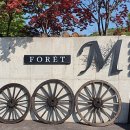 포레엠(Foret M) 이미지