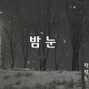 송창식 - 밤눈 이미지