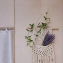 한담 낭뜰 이미지