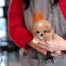 토이파티 이미지