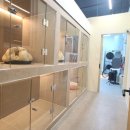 애견풀하우스 이미지