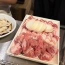 미금수뿔 이미지