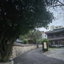 신대암메디칼의원 티스토리