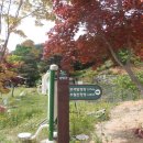 물통골마을 Daum카페