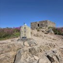 8. 23.(토) ~ 24.(일) 장흥 천관사 힐링 벙개(천관산 산행, 정남진 해변 러닝) 참가 신청 이미지