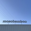mosobamboo(모소밤부) | 용인카페 추천 | 고기리 카페 모소밤부(mosobamboo)후기