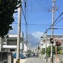 기산카 | 이시가키 렌트카 업체 추천 ‘행복의남국 렌트카 이시가키지마점’