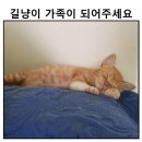 S동물의료센터 이미지