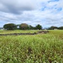 황등면-03 이미지