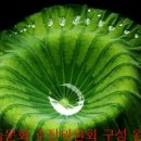 현산남초교 이미지