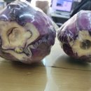 조개까는삼촌 이미지