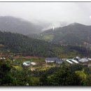 금산삼거리 이미지