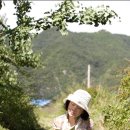 윤정희농장 이미지