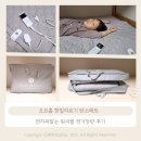 수의료기 | 오르홈 한일의료기 탄소 매트, 전자파없는 워셔블 전기장판 후기