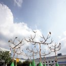 청주국제공예비엔날레 티스토리
