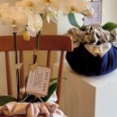 좋은날,여기 이미지