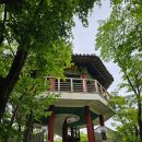 무등카서비스 | 정읍 1박2일 맛집 자유여행(내장산 케이블카, 미리내식당, 무등마루떡갈비 등)