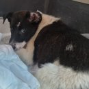 월산암요양병원 이미지