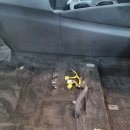 오토글로리 이미지