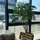 가지골 소고기국밥 이미지