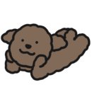 개만세 유치원(대형견) 이미지