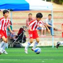 봉동초등학교 이미지