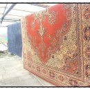 카페트세탁 스팀지니 이미지