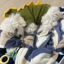 반곡동 작은동물병원 이미지