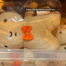 쥬쥬오락실 이미지