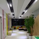 삼성메디칼의원 Daum카페