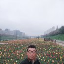 꽃보다당구장 이미지