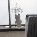 하얀세탁소 이미지