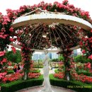 한밭 체육관 이미지