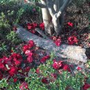 재송1동 주민센터 이미지