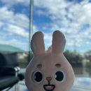 성진상패 | 아기다리고기다리던