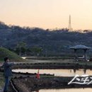 (중급) 생활요가 이미지