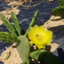 재호농장 이미지