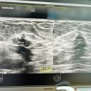 가온유외과의원 이미지