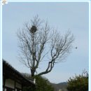 한영기농장 이미지