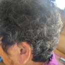 제일보청기 | 김제제일보청기 - 익산 금마 출장 보청기 상담 — 74세 어머니, 충전식 보청기 착용 후기