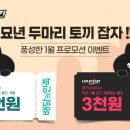 풍성치킨