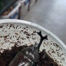 고래의꿈 수족관 이미지