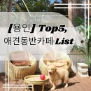 탑골로43번길(3-245) | 용인 동백동 강아지와 함께 가기 좋은 애견동반 카페 TOP 5 추천